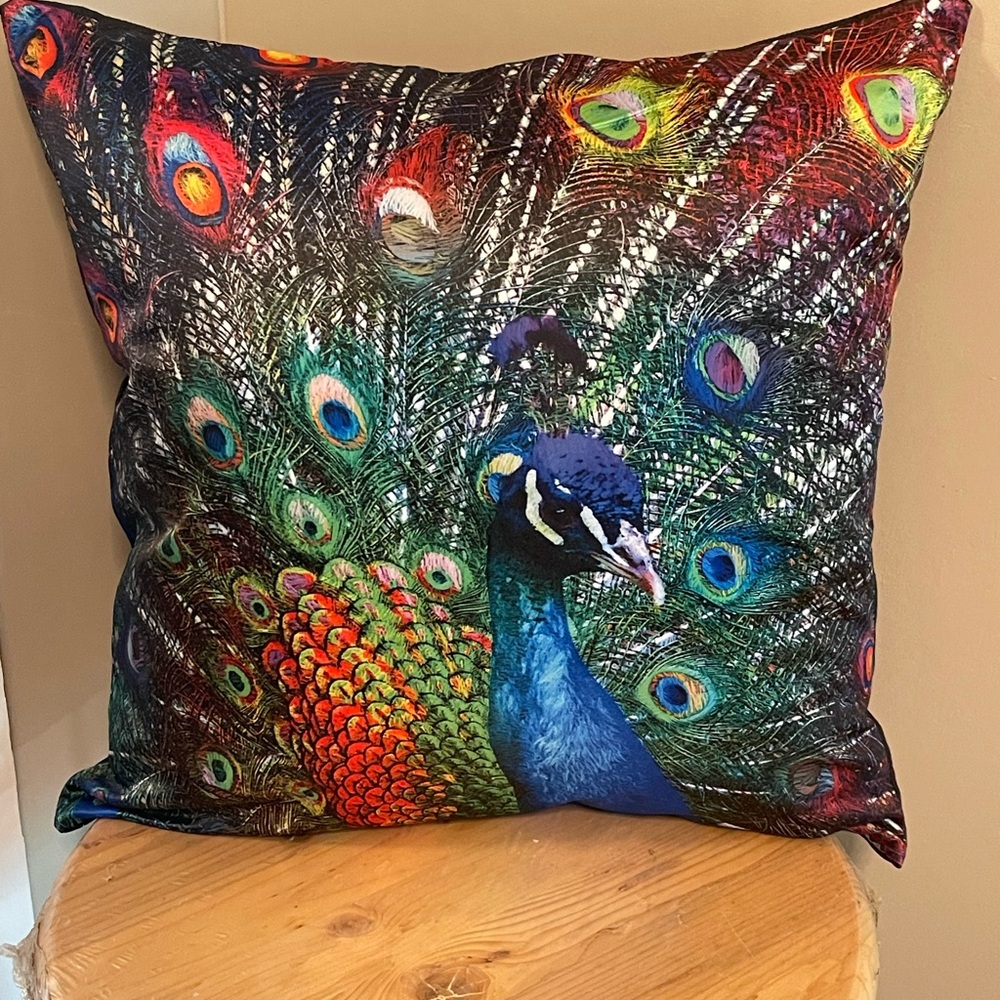 Peacock Feather Accent Pillow
